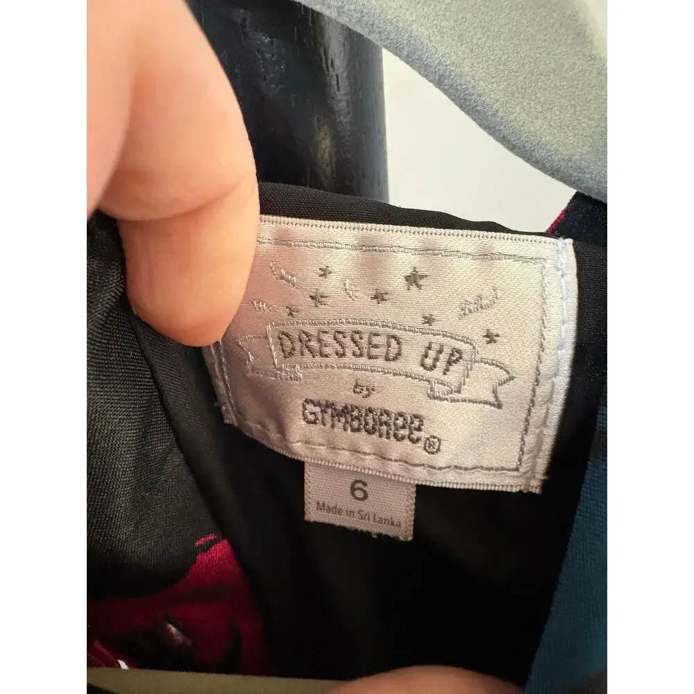 Gymboree Fun and Fancy Pink Rose Dress